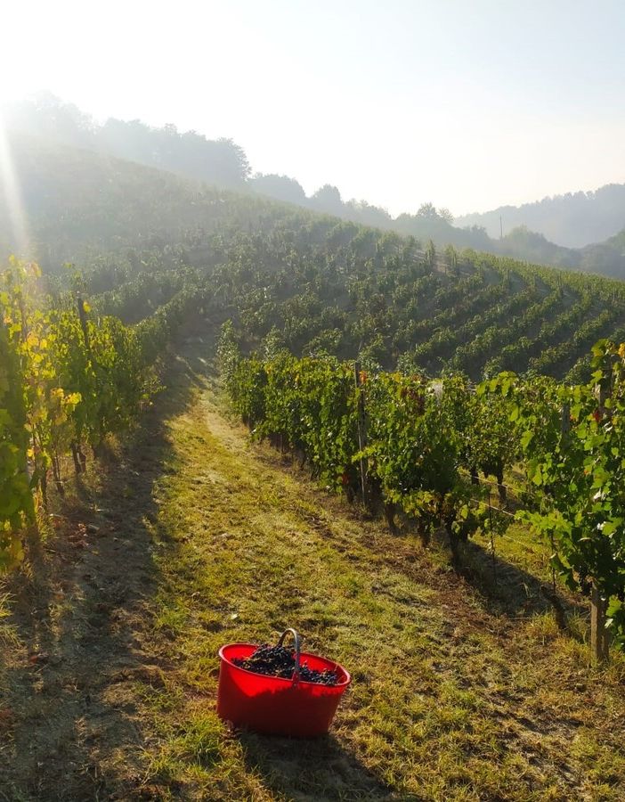 Le Terre di Aleramo si uniscono per un percorso enogastronomico d'eccellenza. Stasera la presentazione a Calliano