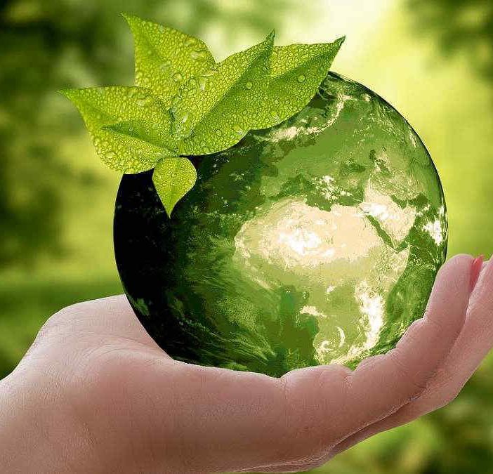 Giornata della Terra 2024: l’impegno di Agripiemonteform e Confagricoltura Piemonte per un futuro sostenibile