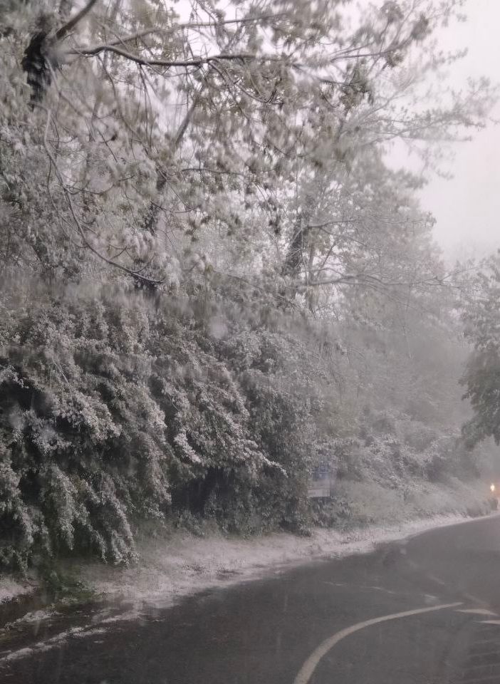 Prima 'imbiancata' a Roccaverano (immagine dal canale Telegram Dati Meteo Asti)
