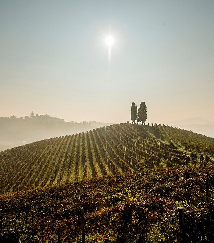 Vacanze Astigiane tra colli vitati e feste del vino