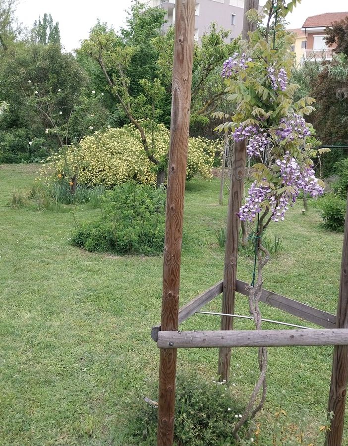 Con il FAI alla scoperta del &quot;Giardino segreto di Arianna&quot;, nelle domeniche 12 e 19 maggio