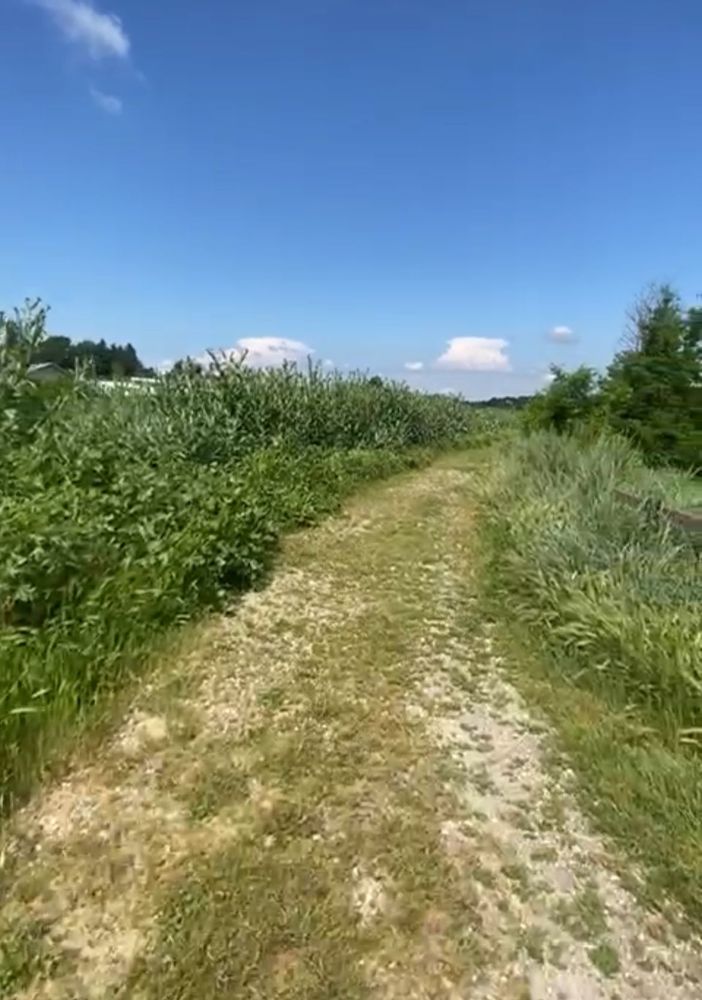 Alcune immagini postate dalla consigliera comunale Vittoria Briccarello
