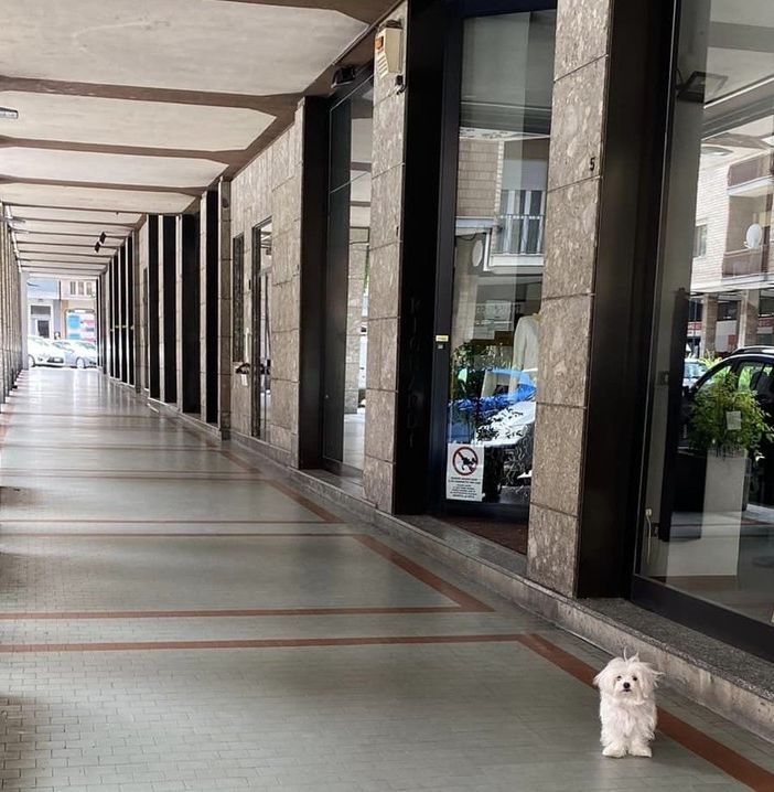 Un altro negozio storico astigiano ha abbassato le saracinesche