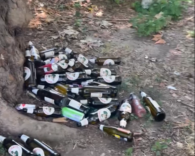 L'inciviltà arriva anche in piazza Campo del Palio:  sotto gli alberi una distesa di bottiglie di birra vuote [VIDEO]