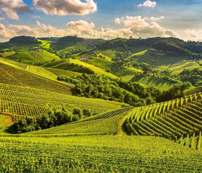 Paesaggi vitivinicoli dell'Astigiano
