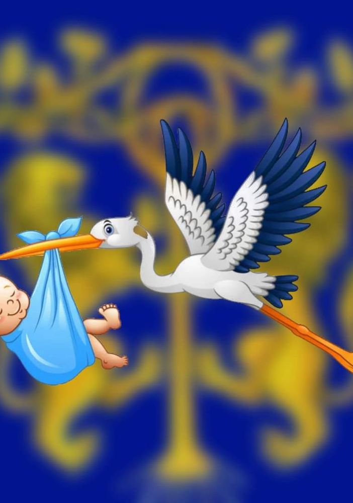 Fiocco azzurro al comitato Palio Don Bosco: è nato Pietro Maria, figlio del rettore Massimiliano Stella
