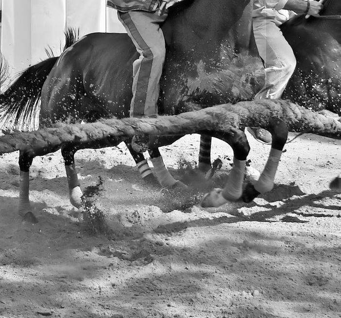 Ph Merfephoto
