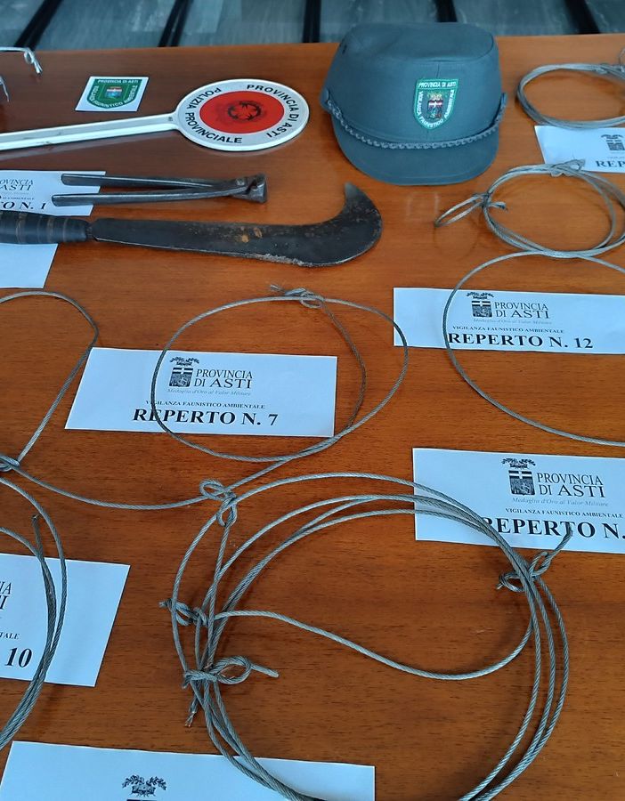 Un denunciato per attività di bracconaggio nelle aree boschive di Valleandona e Montegrosso Cinaglio
