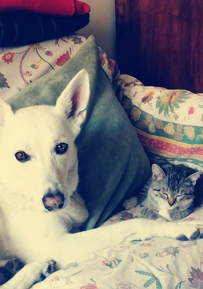 Luce con un suo amichetto