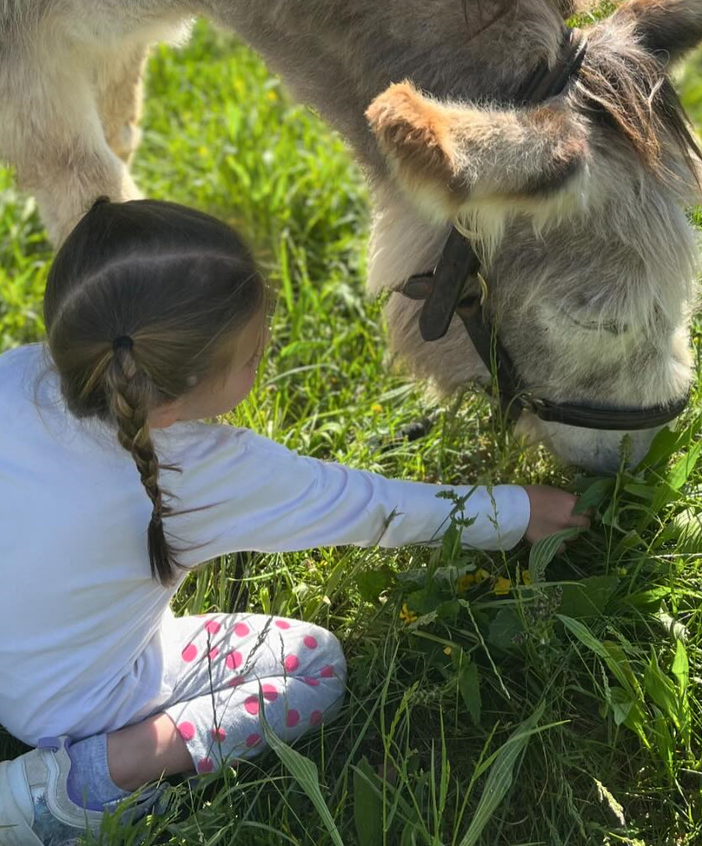 Family Experience tra natura e animali di Asintrekking