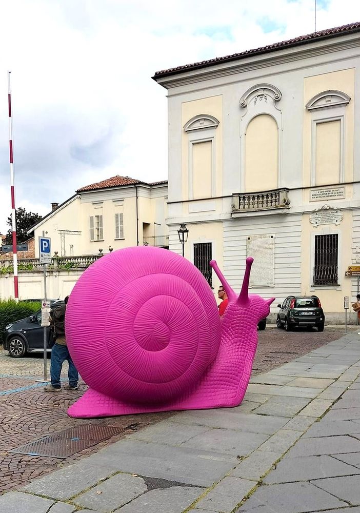 Foto tratte dal gruppo Asti (Facebook)