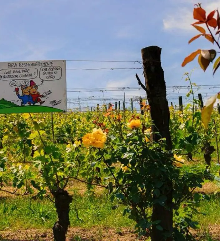 I giovani del Fai di Asti partecipano a &quot;BioBollicine&quot;, evento all'interno di Agrotech per la protezione della biodiversità