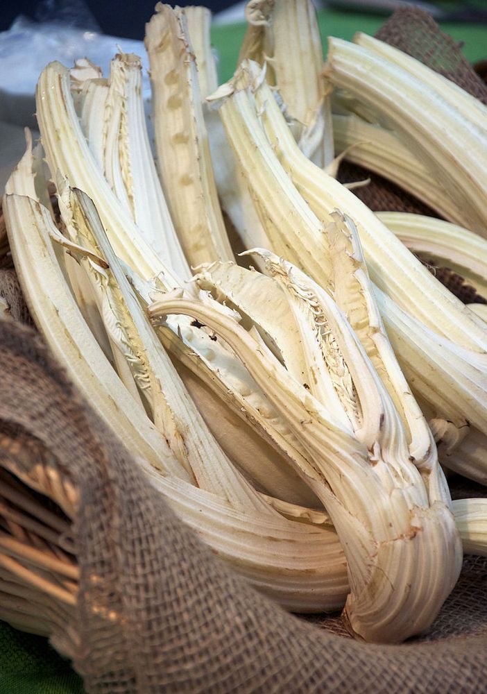 Incisa Scapaccino celebra mezzo secolo di tradizione enogastronomica