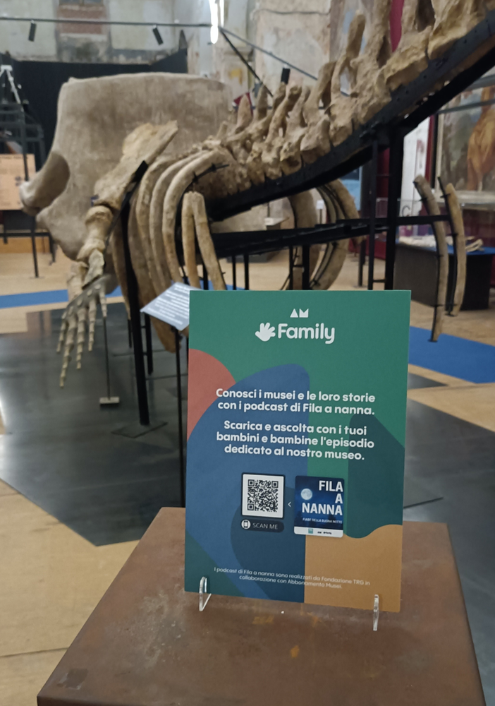&quot;Fila a nanna&quot;: il podcast che avvicina le famiglie al Museo dei Fossili di Asti
