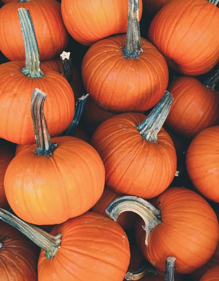 Benvenuto ottobre e alla magia dell’Ottobrata