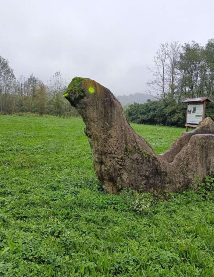 Il dinosauro deturpato