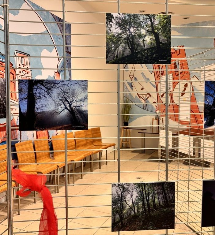 A Mondovicino la mostra &quot;Una rinascita nel bosco&quot; rompe il silenzio attorno alla MCS, rara malattia genetica [VIDEO]