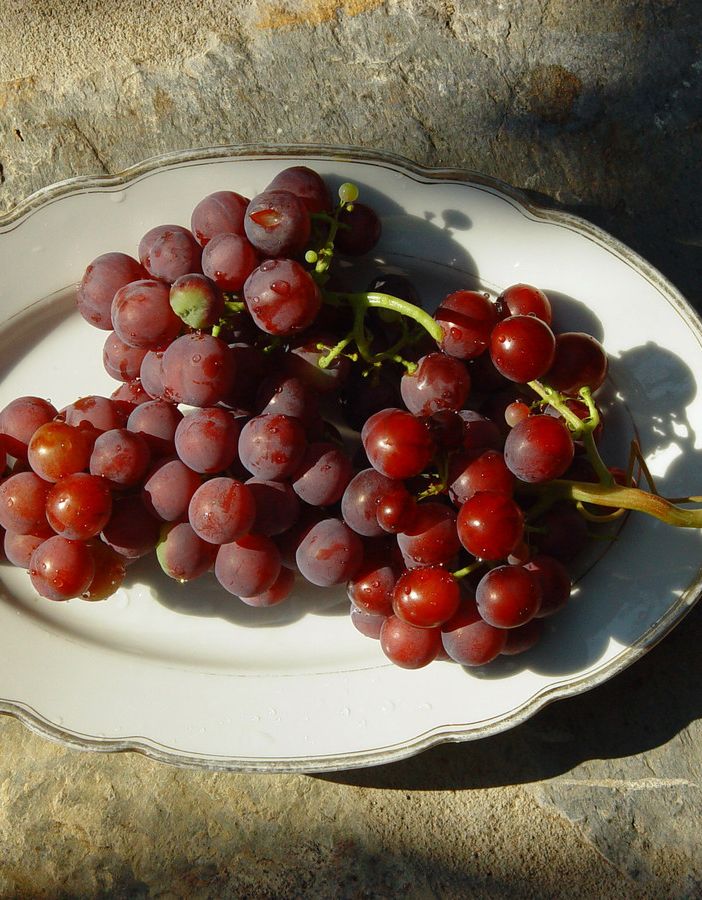 L'Arte Incontra il vino a Costigliole d'Asti