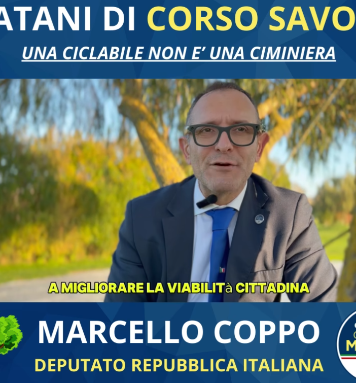 Coppo sui platani: &quot;Gli ambientalisti difendono gli alberi, ma quando c'è da parlare di aborto cosa fanno?&quot; Malandrone: &quot;Non tiri in mezzo certe questioni&quot;