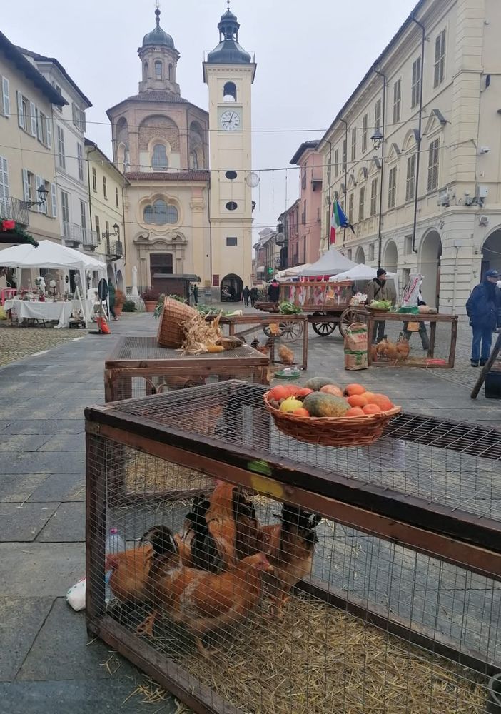 Alcune immagini della Fiera del Cappone che si è tenuta domenica