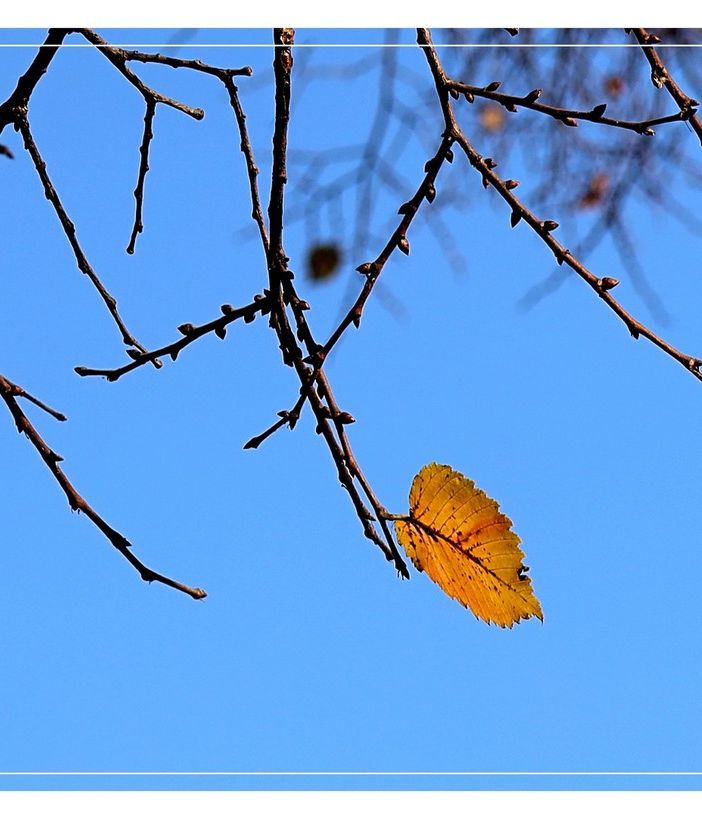 Ph Merfephoto