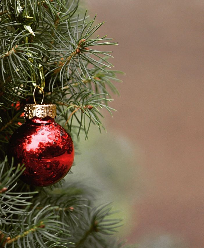 Tradizione e divertimento: questo fine settimana si celebra l'Immacolata nell'Astigiano