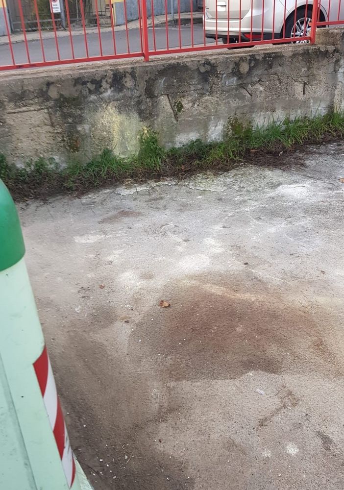 L'area ripulita