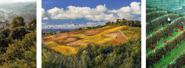 La Meraviglia Unesco: Langhe, Roero e Monferrato attraverso gli occhi di tre fotografi
