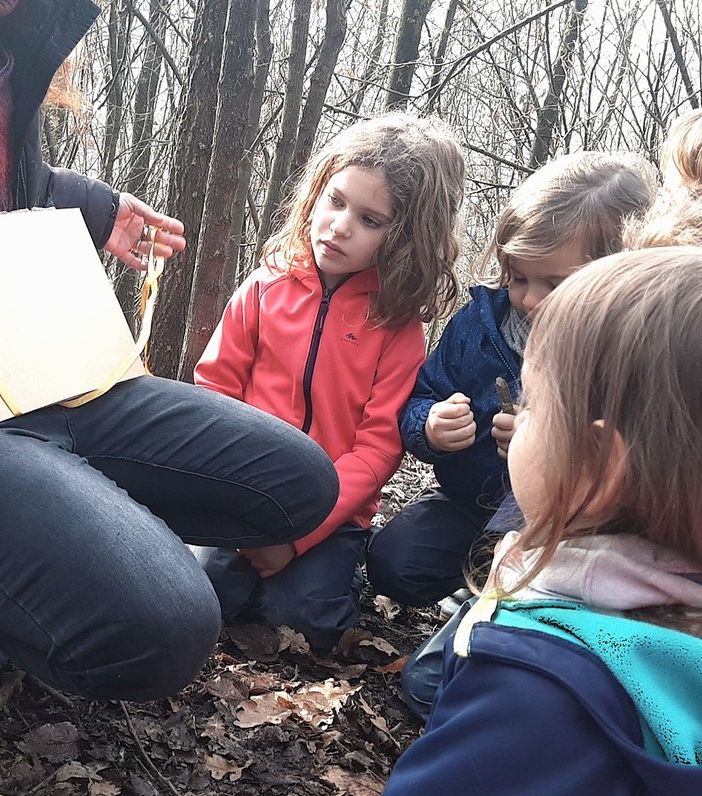 Scoprire il bosco per crescere