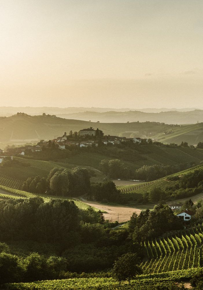 Il Consorzio Asti DOCG celebra un ricco 2024  con oltre 90 milioni di bottiglie