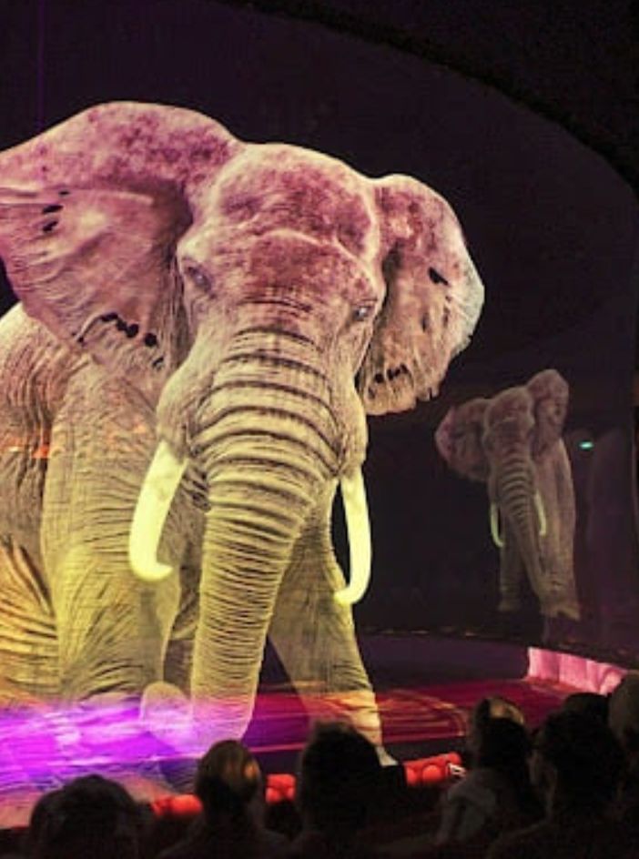 Foto pagina Fb Circus Atmosphere
