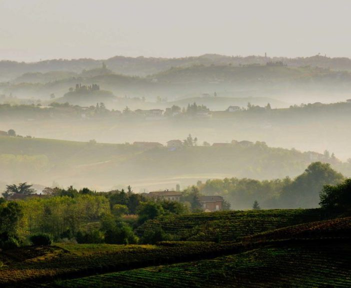Il Consorzio Asti Docg lancia la sua prima app per smartphone  per la digitalizzazione della filiera vitivinicola