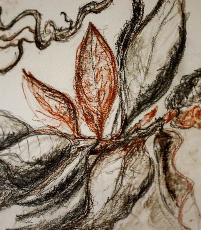 Le immagini della mostra negli scatti di Efrem Zanchettin