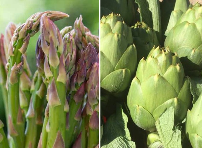 Asparagi Saraceni di Vinchio e Carciofi della Valtiglione
