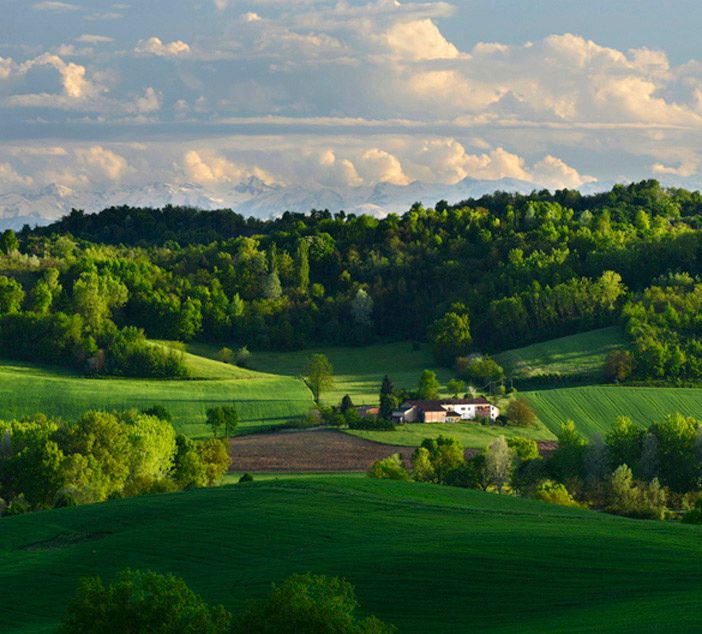 Un bellissimo scatto di natura Astigiana ritratta dal fotografo Enzo Isaia