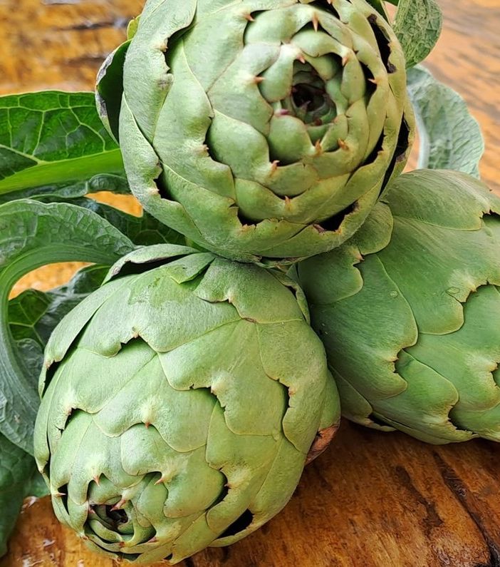 Carciofo della Valtiglione, in Sagra a Costigliole d'Asti nel prossimo fine settimana
