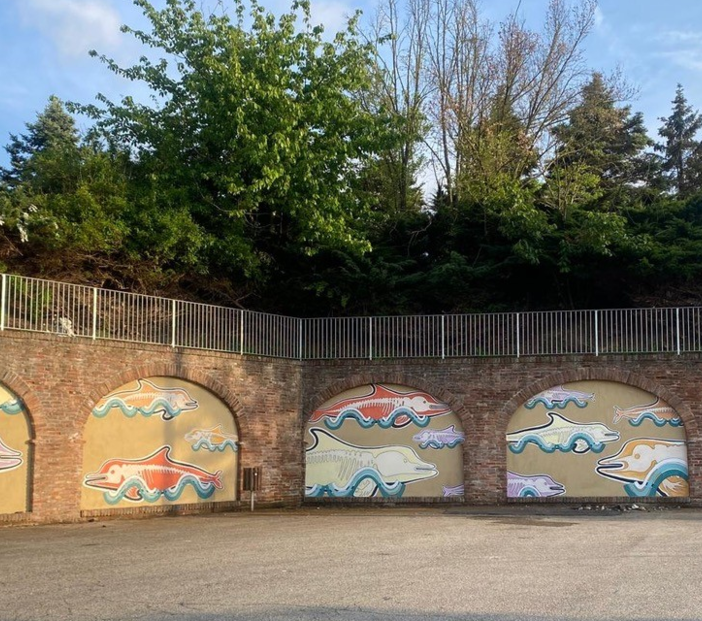 Inaugurato a Camerano Casasco il murales &quot;Il delfino di Camerano&quot;: un ponte tra arte e paleontologia