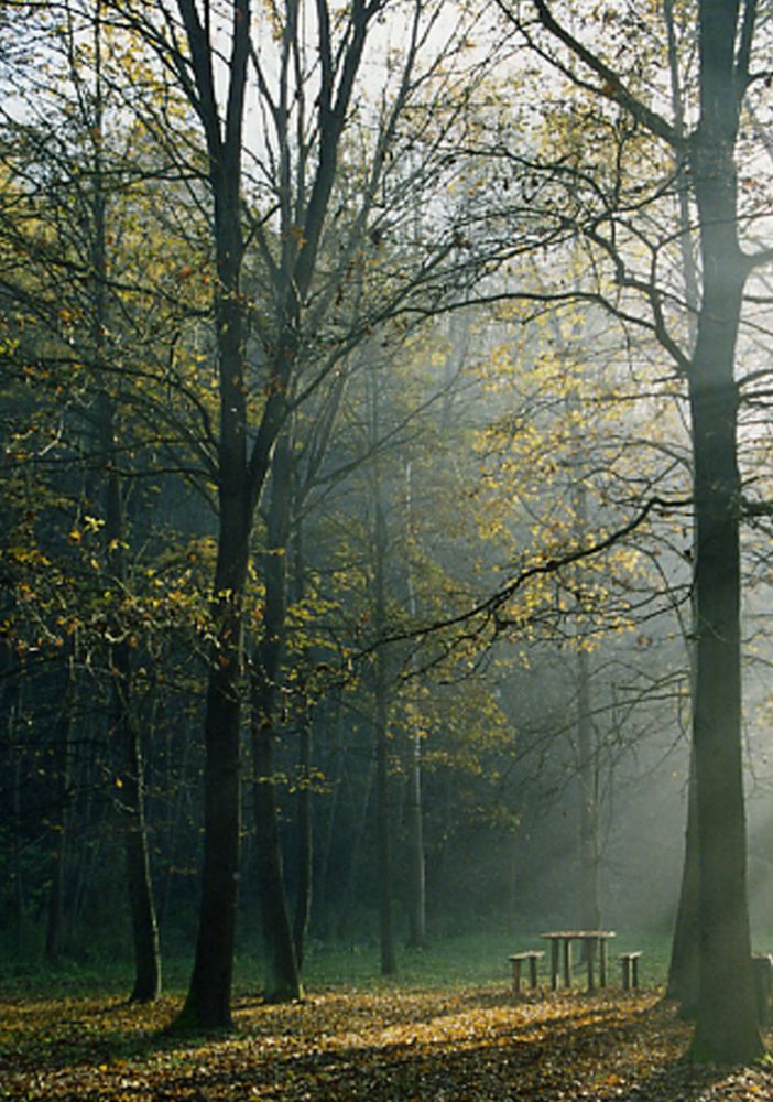 Il Parco di Rocchetta