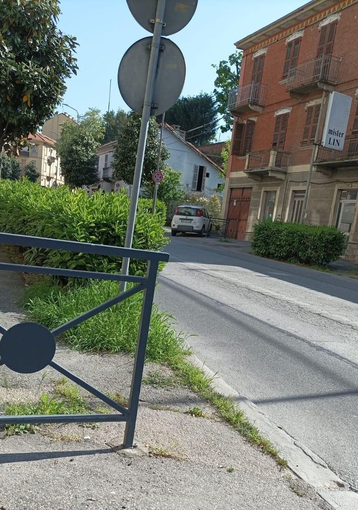 Viabilità ad Asti: in viale Partigiani una siepe impedisce la visibilità a chi si immette dalle strade laterali