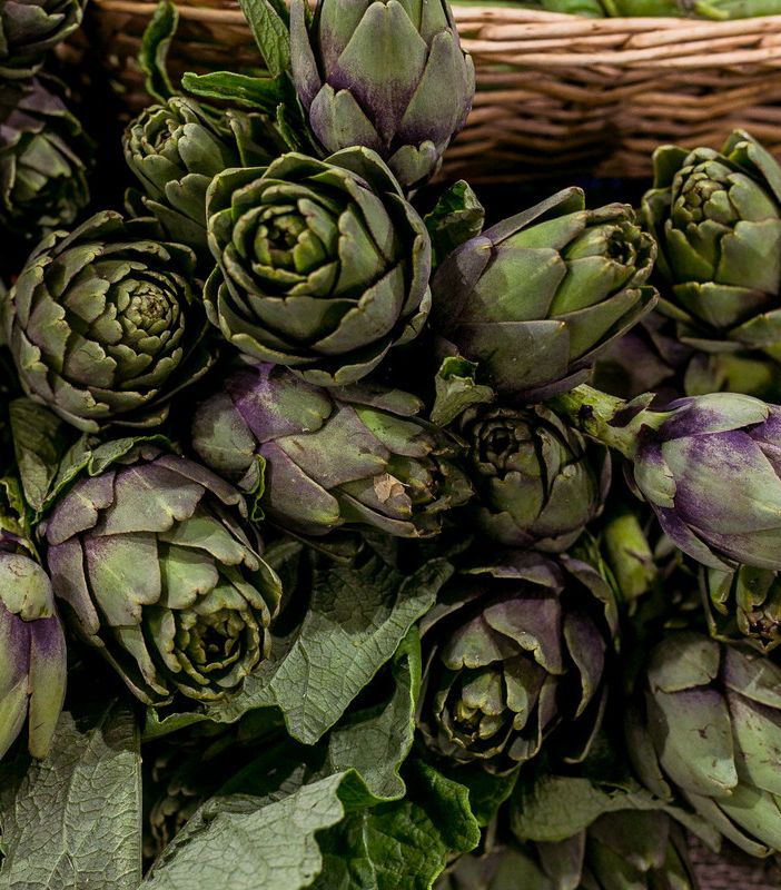 Costigliole d’Asti celebra il carciofo astigiano con la prima Sagra dell’articiòch