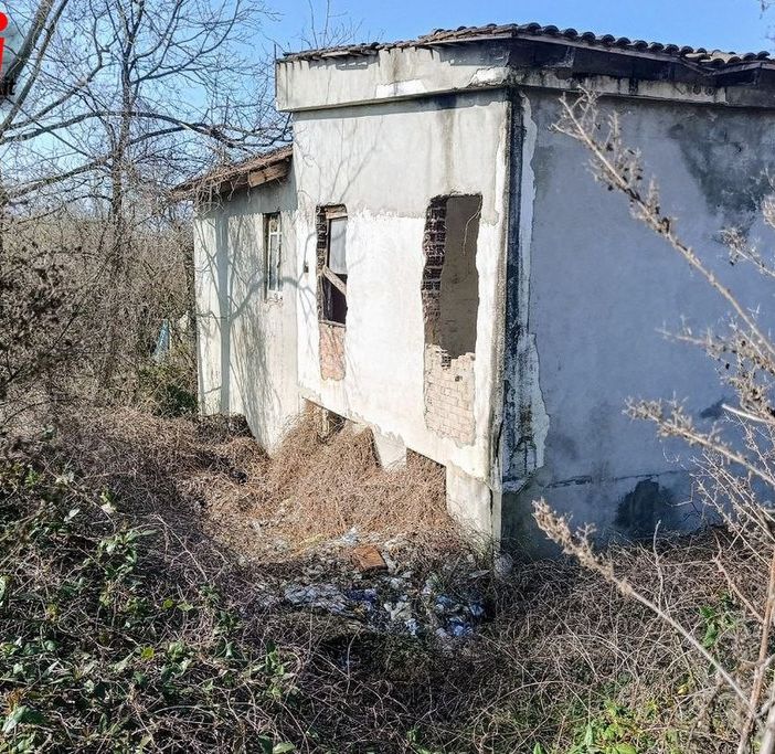 La colonia felina della Casa dell'Avvocato (Merphefoto)