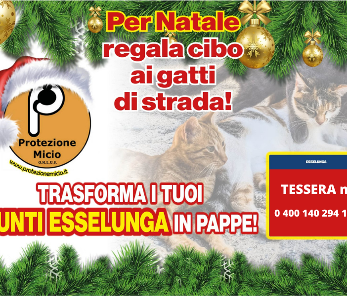 A Natale si possono aiutare i mici di nessuno con la tessera Esselunga
