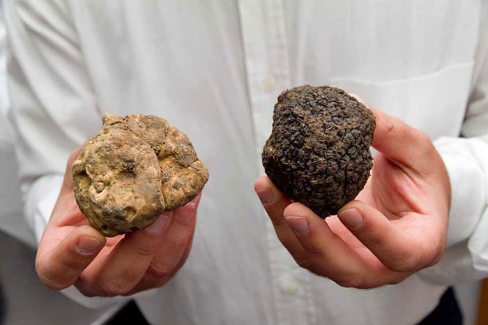 Viviamo in un posto bellissimo che s’è perso nell’oro