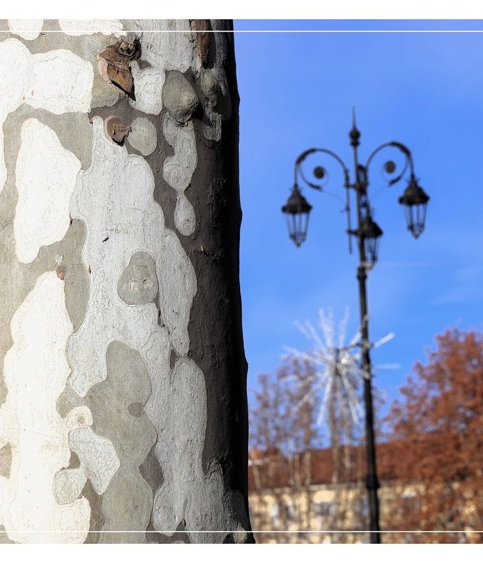 Ph Merfephoto