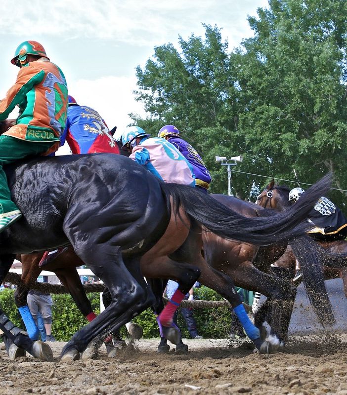 Un'immagine di una passata edizione del Palio di Fucecchio (foto Palio delle Contrade di Fucecchio)