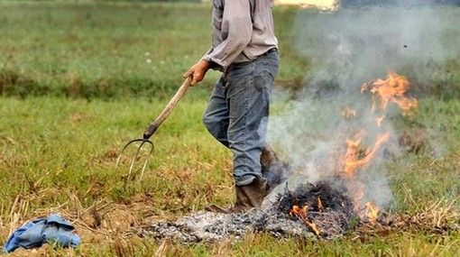 Legambiente Piemonte: “No alle deroghe agli abbruciamenti”