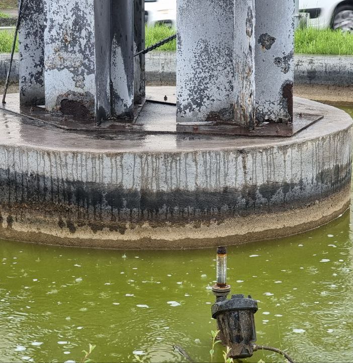 Intervento per rimuovere il putridume dalla fontana di corso Savona