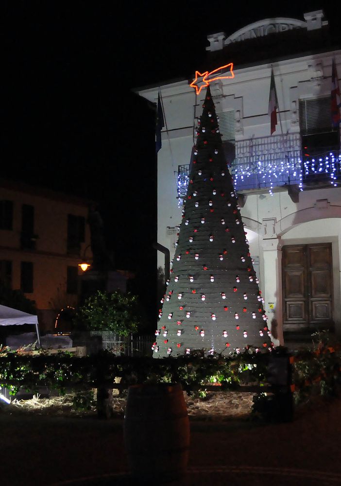 Albero di Scurzolengo
