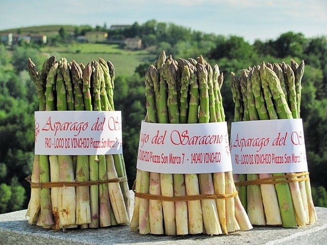 Asparagi saraceni di Vincjio