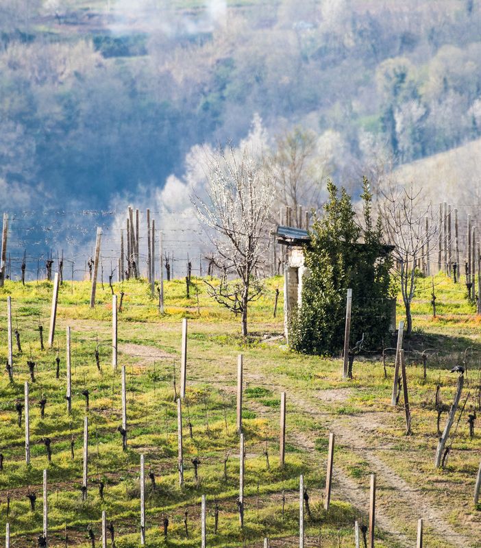 Bellezza naturale delle Colline Alfieri